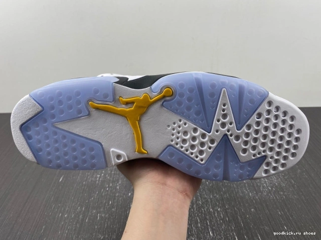 6 Jordan Yellow Ochre Air CT8529-170 0805